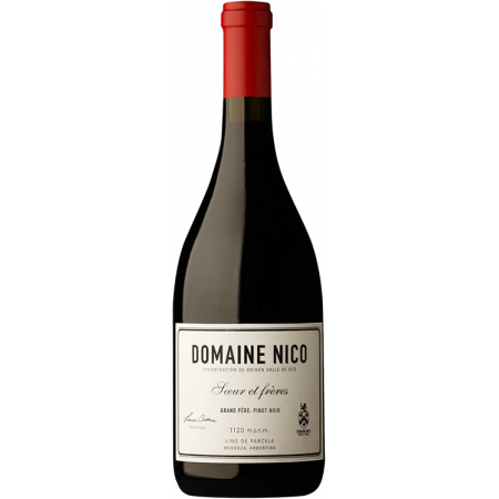 Grand Père Pinot Noir 2023 - Domaine Nico Grand Père Pinot Noir 2023 - Domaine Nico