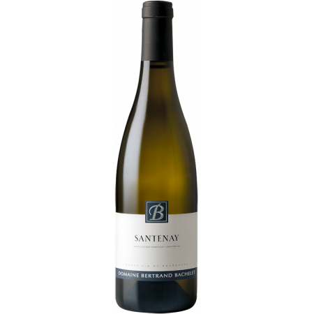 Santenay Blanc 2024 - Domaine Bertrand Bachelet Santenay Blanc 2024 - Domaine Bertrand Bachelet