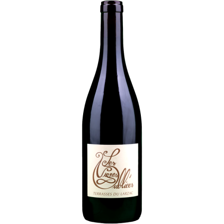 Terrasses du Larzac 2024 - Les Vignes Oubliées Terrasses du Larzac 2024 - Les Vignes Oubliées