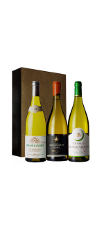 VINS SUR 20 | BOX 1 BOUTEILLE | BLANC