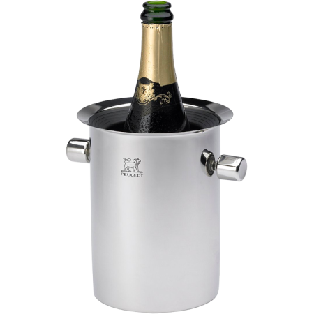 Seau équilibreur thermique avec glacettes - Ref 220068 - Peugeot Seau équilibreur thermique avec glacettes - Ref 220068 - Peugeot