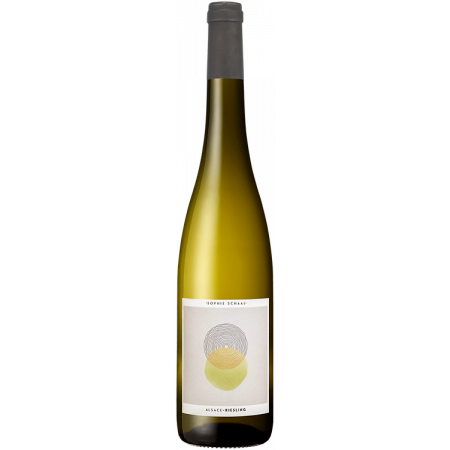 Riesling 2025 - Sophie Schaal Riesling 2025 - Sophie Schaal