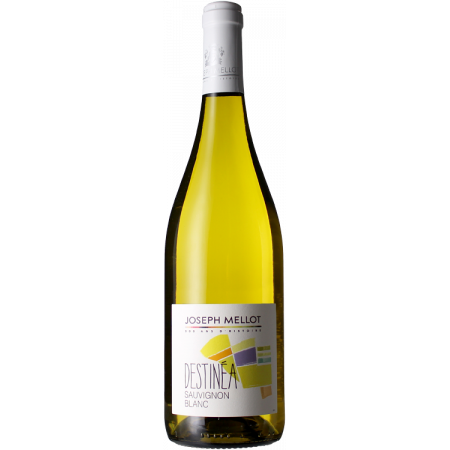 Sauvignon Blanc - Destinea 2024 - Joseph Mellot Sauvignon Blanc - Destinea 2024 - Joseph Mellot
