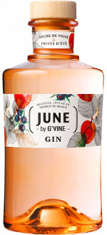 Achat Gin aromatis au meilleur prix !