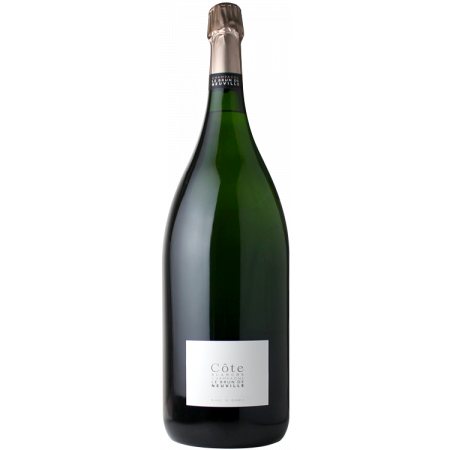CHAMPAGNE LE BRUN DE NEUVILLE, CHAMPAGNE LE BRUN DE NEUVILLE - COTE BLANCHE - MATHUSALEM - BLANC DE BLANCS