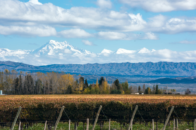 vignoble chilien, vallée aconcagua, aconcagua valley, vin chili, vin du chili, vignes chili