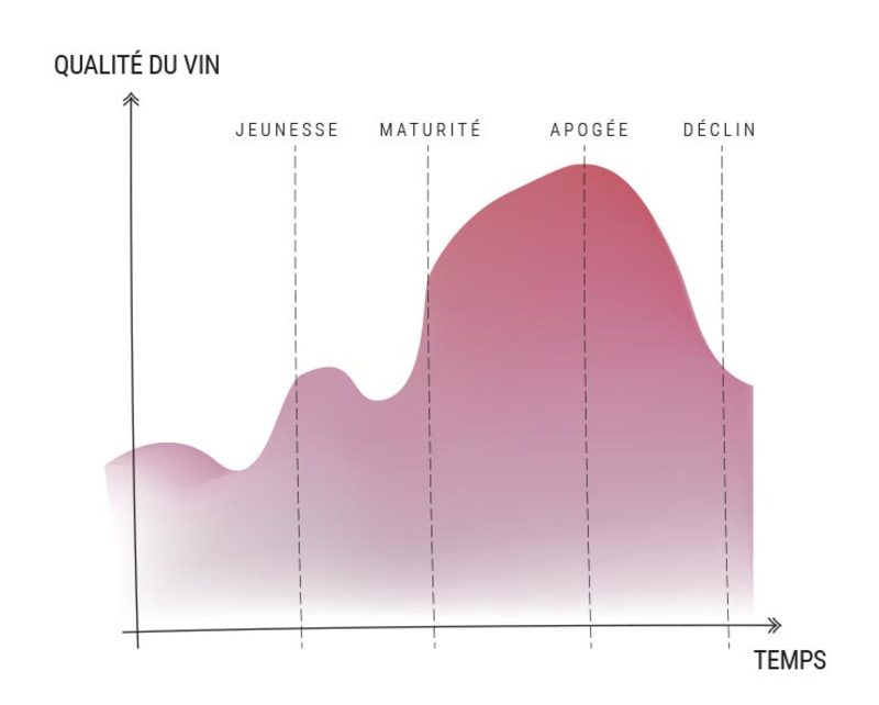Qu’est-ce qu’un vin de garde