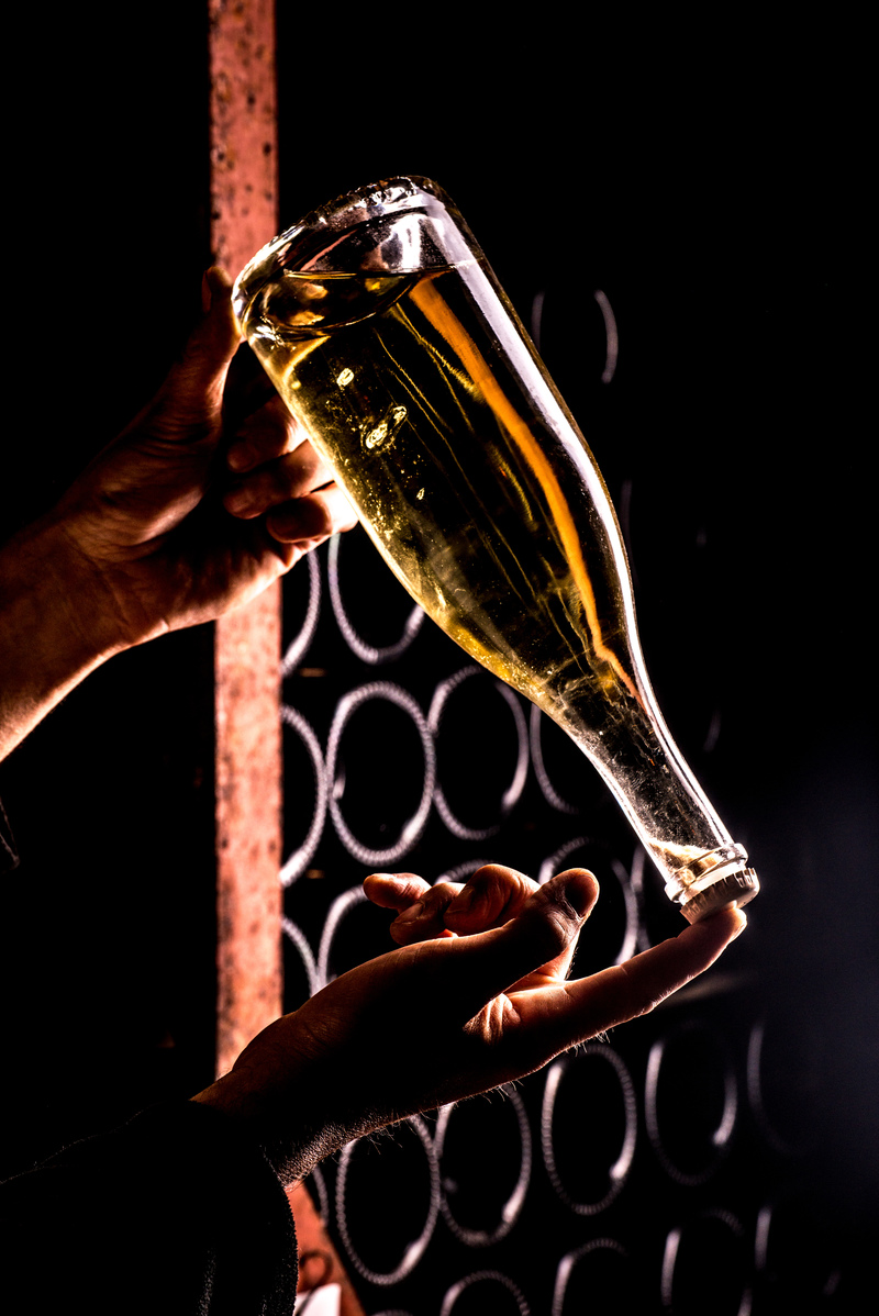 Clos des goisse, philipponat champagne, champagne philipponat , achat champagne