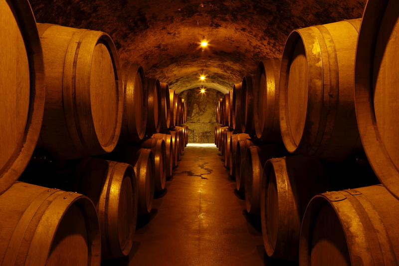 Clos des goisse, philipponat champagne, champagne philipponat , achat champagne