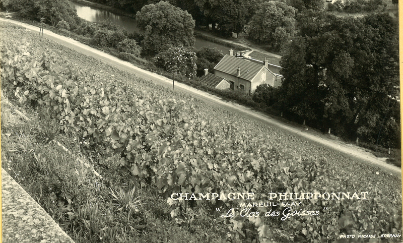 Clos des goisse, philipponat champagne, champagne philipponat , achat champagne