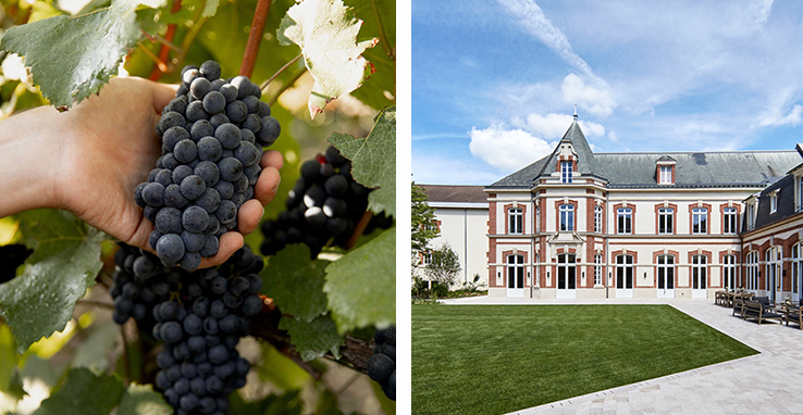 La maison Krug et son approche unique