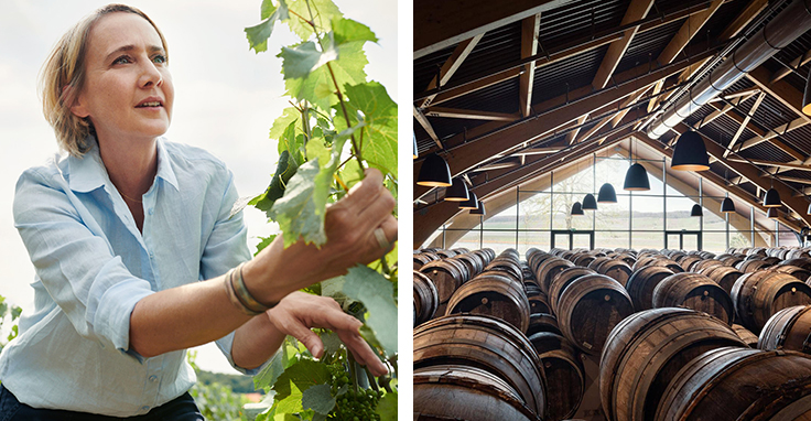 Le savoir faire de Krug
