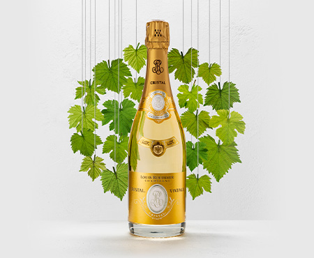 cuvee 3