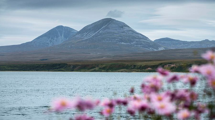 Paysage de l'île d'Islay - Whisky Caol Ila