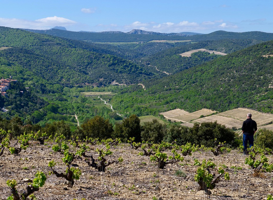 Paysage d'Ansignan avec Jeff-Carrel