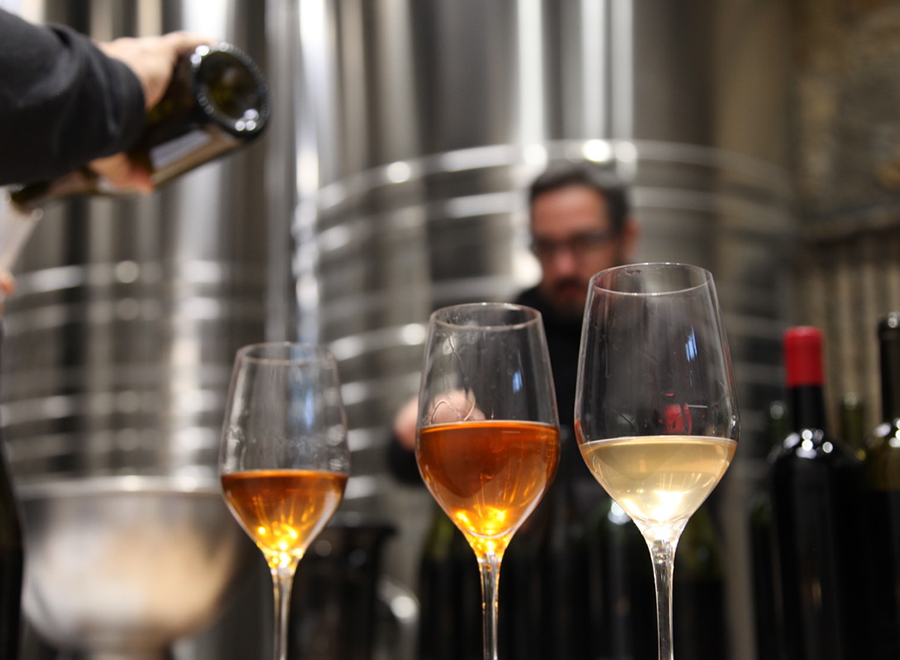 Dégustation des vins Jeff-Carrel
