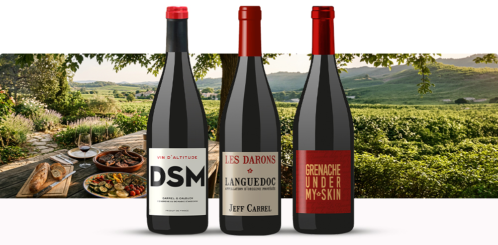 Les Vins Rouges Jeff carrel