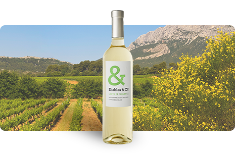 Bouteille Diables & Co Blanc 2025