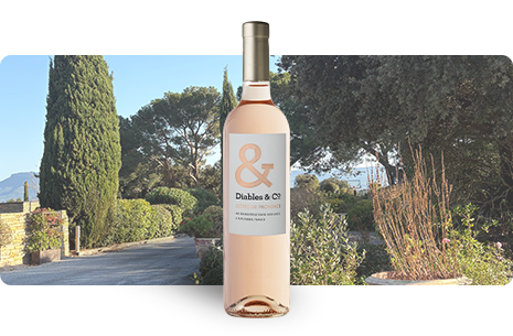 Bouteille Diables & Co Rosé 2025