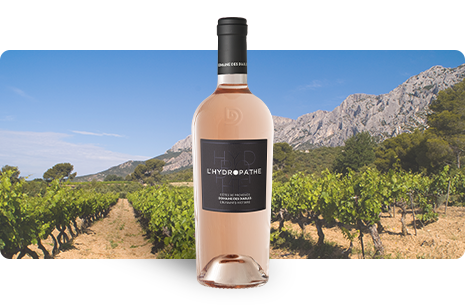 Bouteille Made In Provence Rosé 2025