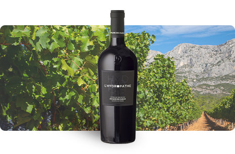 Bouteille MIP Blanc 2025