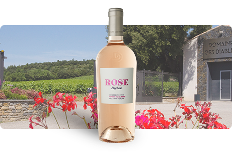 Bouteille Mip Classic Rosé 2025