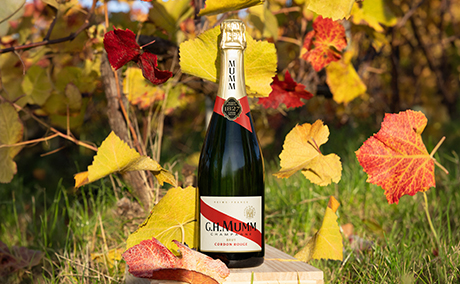 Mumm Brut en Automne