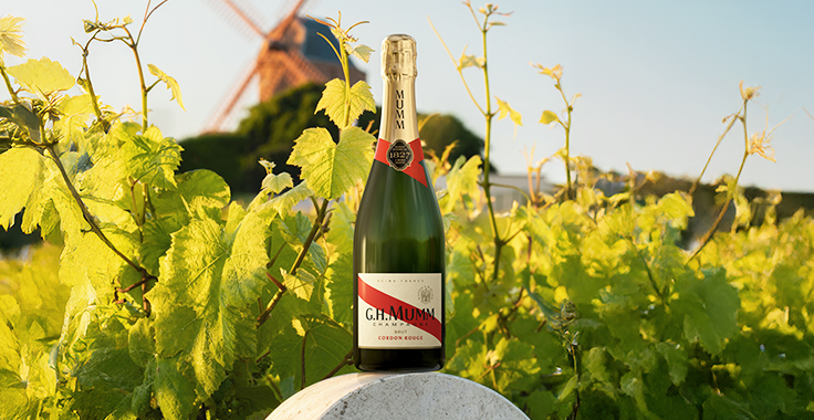 Bouteille de Champagne G.H.Mumm Cordon Rouge sur une borne dans les vigne du domaine G.H.Mumm, avec en arrière plan le moulin à vent Mumm