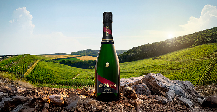 Bouteille de Champagne G.H.Mumm Vintage 2019 devant un paysage du vignoble Mumm