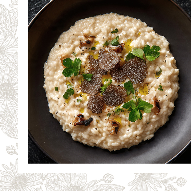 Risotto à la truffe