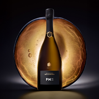 Bollinger PX20