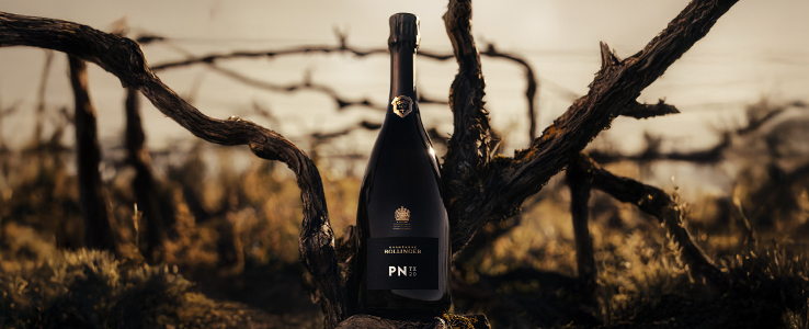 Champagnes collection PN par Bollinger