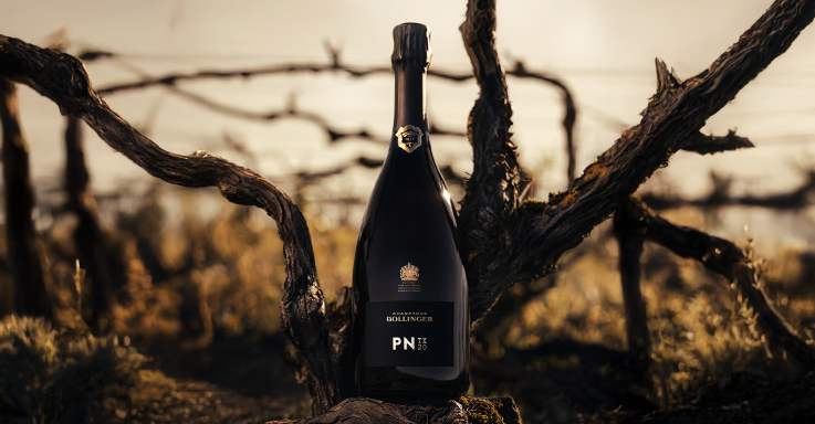 Collection PN - Champagne Bollinger 