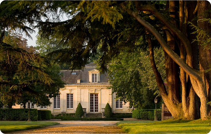 Château Ferrande, Grands vins de Graves