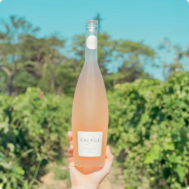 Élaboration de la cuvée Miraflors, domaine Lafage