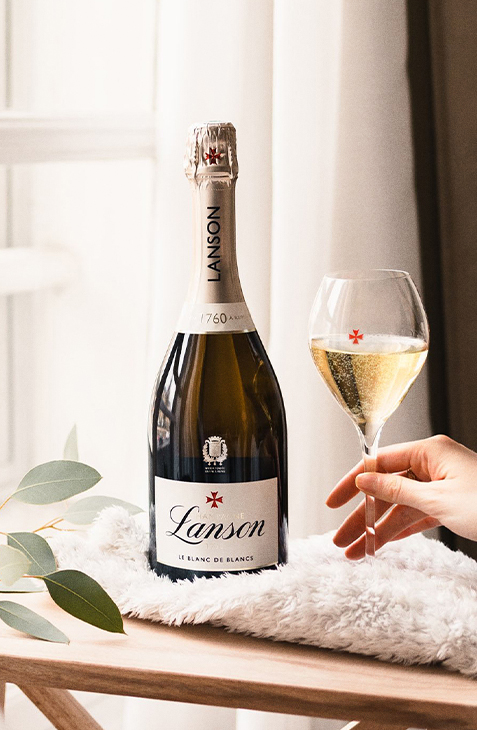 Image Blanc de Blancs sur fond simple avec ombre de fleurs et verres de champagne | Champagne Lanson
