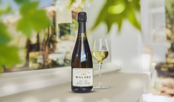Bouteille de Champagne BIO Millésimé 2017 Malard sur un rebord de fenêtre en extérieure de la propriété