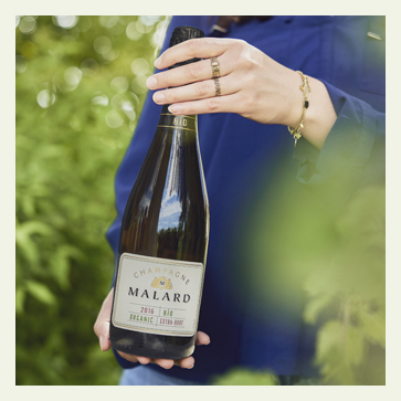 BIO Millésimé 2017 tenue dans une main dans le domaine du Champagne Malard