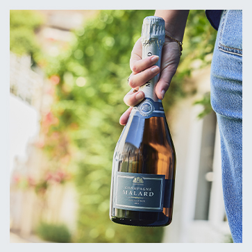 Brut Excellence tenue dans une main dans le domaine du Champagne Malard
