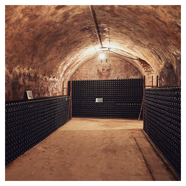 Les caves du Champagne Malard