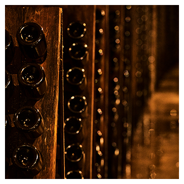 Bouteilles de Champagne rangées dans les caves du Champagne Malard