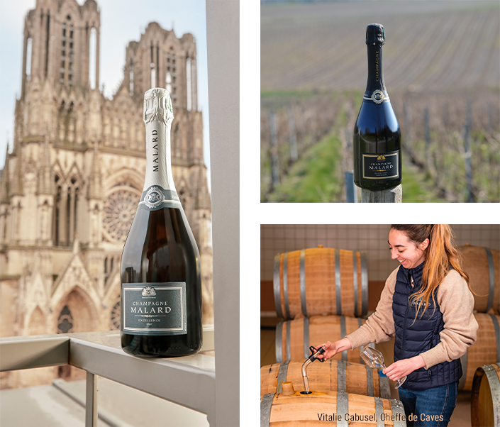 Photos des paysages des terroirs de Champagne et de l’oenologue et Cheffe de Caves, Vitalie Cabusel