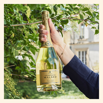 Blanc de Blancs Excellence tenue dans une main dans le domaine du Champagne Malard
