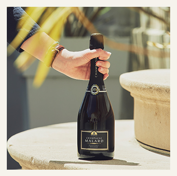 Blanc de Noirs Excellence tenue dans une main dans le domaine du Champagne Malard