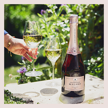 Bouteille de Rosé Excellence avec deux coupes de champagne rosé dans le domaine du Champagne Malard