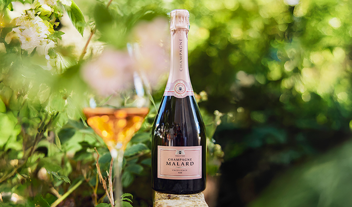 Bouteille de Champagne Malard Rosé Excellence sur un muret avec des arbres et des feuilles, une coup de champagne en premier plan