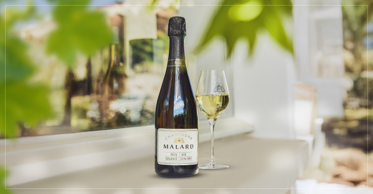 Champagne Malard Bio Millésime 2017