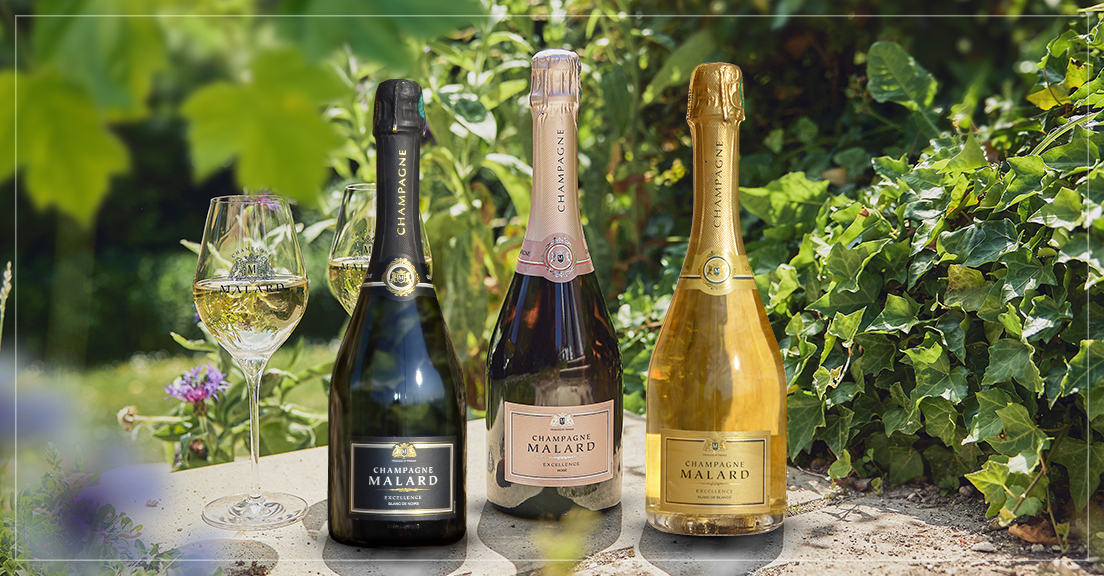 Gamme Excellence Champagne Malard dans un jardin