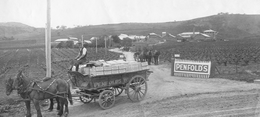 Photo du domaine Penfolds dans les années 1920
