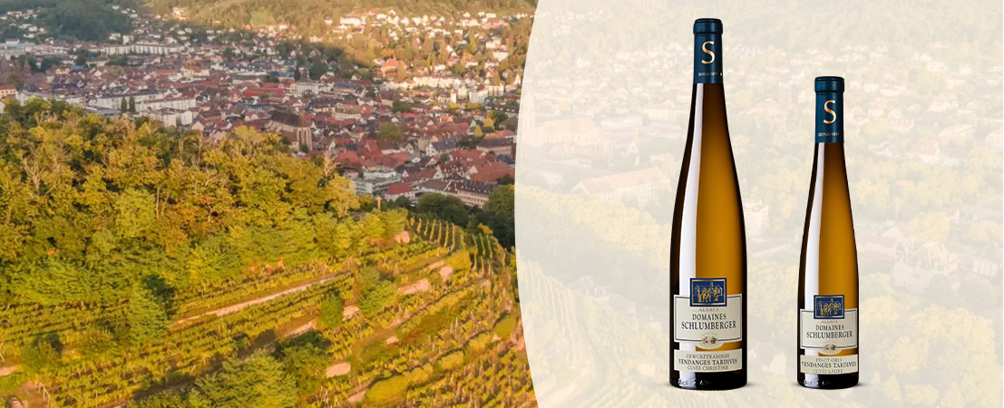 Les Collections - Domaine Schlumberger